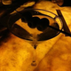 Image for article titled Shooting Challenge: Cellphone Gallery Part 1
